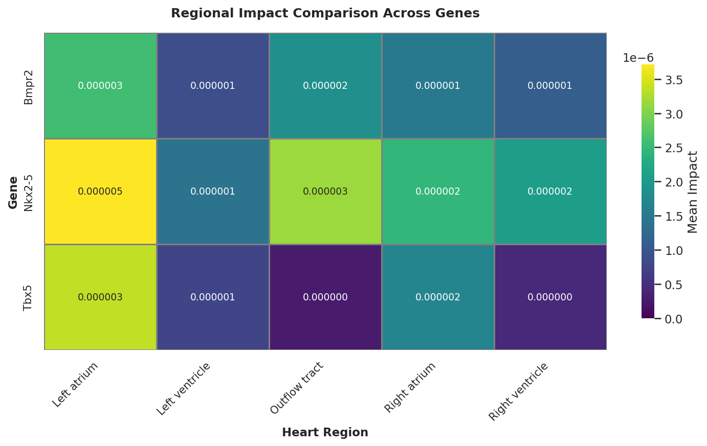 Heatmap E11.5