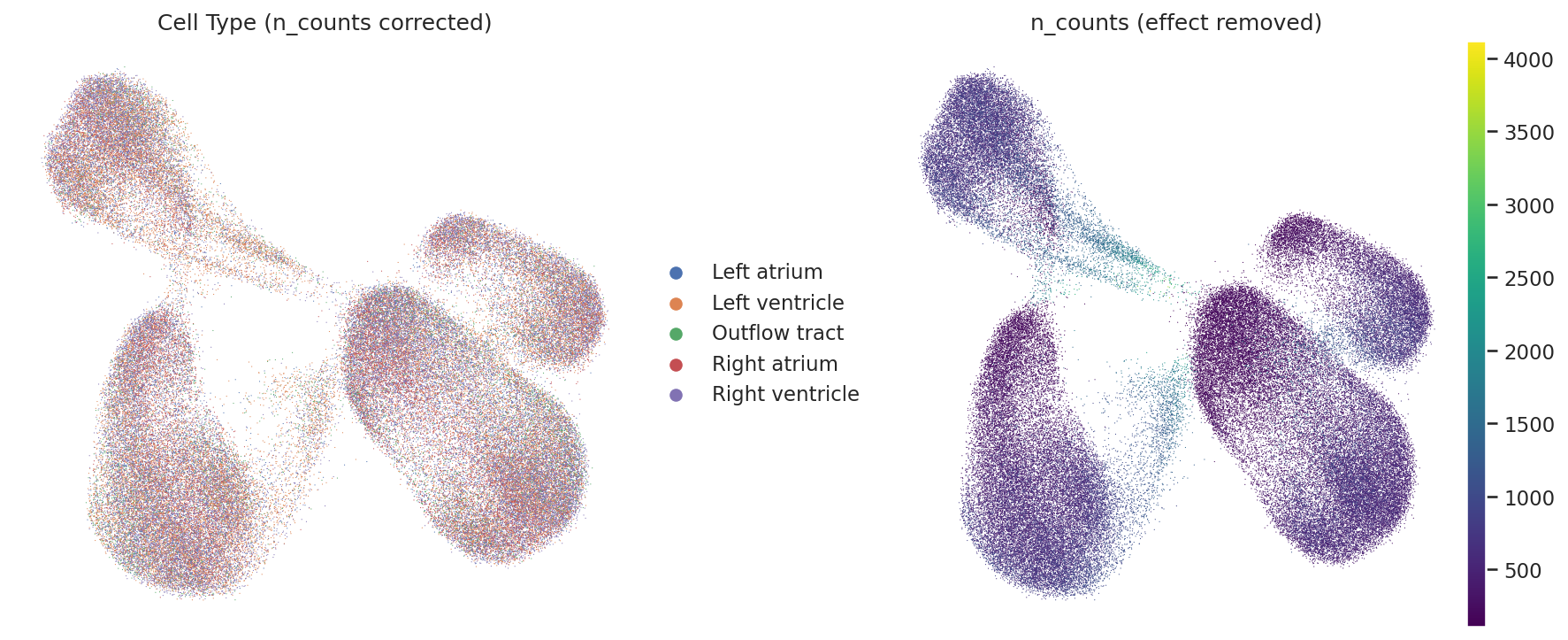 UMAP Regressed E11.5